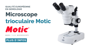 Microscope Motic